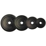 ΔΙΣΚΟΣ AMILA 28MM ΜΕ ΛΑΣΤΙΧΟ 20KG