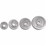 ΔΙΣΚΟΣ AMILA 28MM ΕΜΑΓΙΕ ΓΚΡΙ 1.25KG