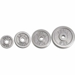 ΔΙΣΚΟΣ AMILA 28MM ΕΜΑΓΙΕ ΓΚΡΙ 20KG
