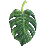 ΣΤΡΩΜΑ PALM LEAF