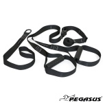 Ιμάντες Ενδυνάμωσης Suspension Trainer Pegasus® Β 0999