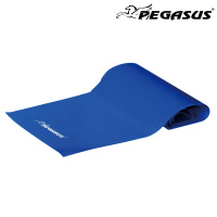 Λάστιχο Αντίστασης Κορδέλα Pegasus® Heavy Β 6308