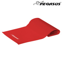 Λάστιχο Αντίστασης Κορδέλα Pegasus® Light Β 6308