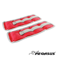 Βάρη Άκρων 2x1.0kg Pegasus® Β-2112-10