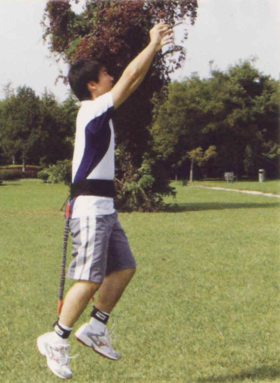 High Jumping Trainer-88262