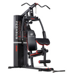 Πολυόργανο Γυμναστικής Pegasus® MS-600 Λ-5210