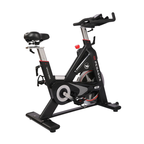 Ποδήλατο Γυμναστικής Pegasus Spin Bike PG5