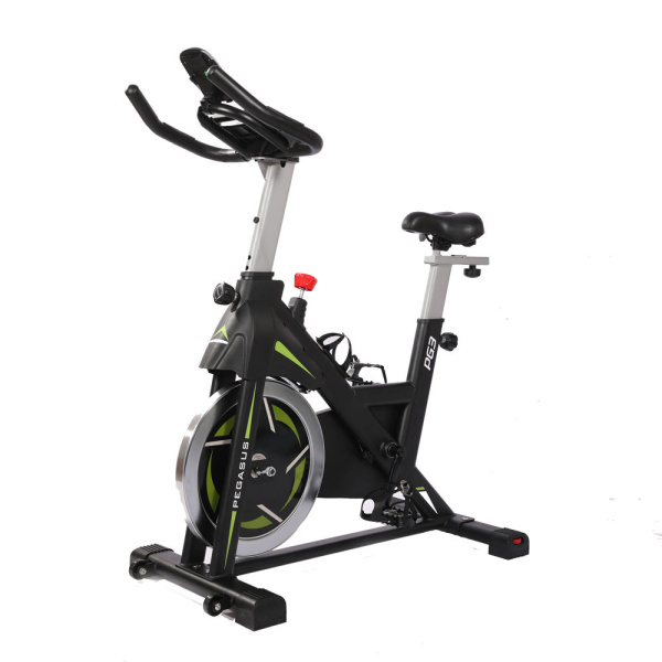 Ποδήλατο Γυμναστικής Pegasus® Spin Bike PG3