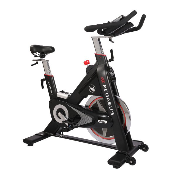 Ποδήλατο Γυμναστικής Pegasus Spin Bike PG5