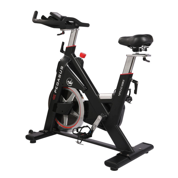 Ποδήλατο Γυμναστικής Pegasus Spin Bike PG5