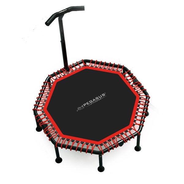 Οκτάγωνο τραμπολίνο με Λαβή 48" 122cm Pegasus®