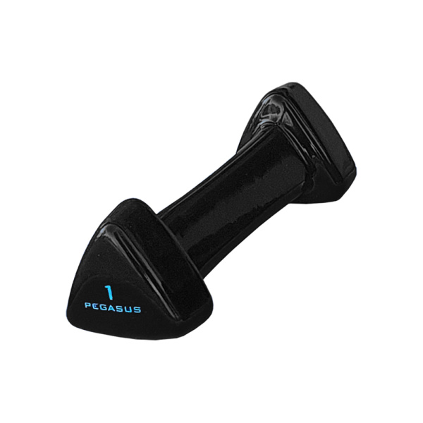 Τρίγωνος Αλτήρας Vinyl 1kg Pegasus® PG-1005