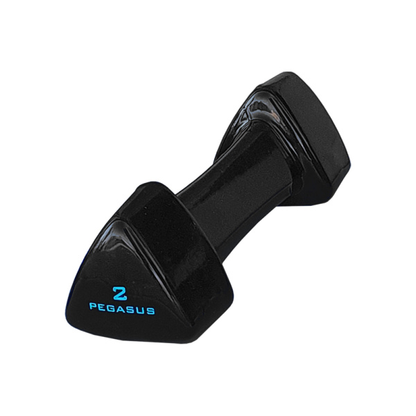 Τρίγωνος Αλτήρας Vinyl 2kg Pegasus® PG-1005