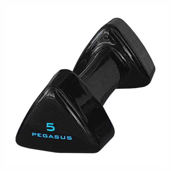 Τρίγωνος Αλτήρας Vinyl 5kg Pegasus® PG-1005