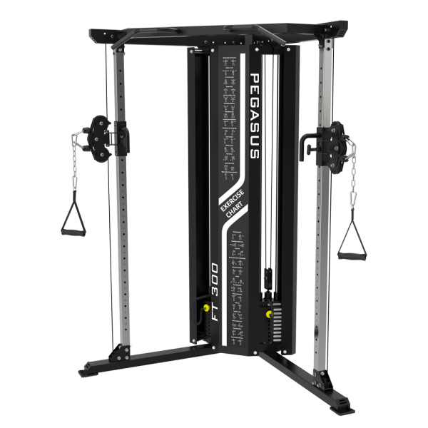 Πολυόργανο Pegasus Functional Trainer FT-300
