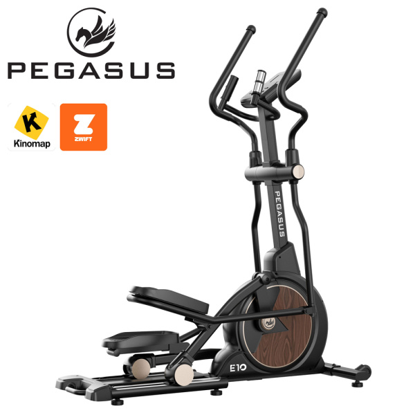 Ελλειπτικό Pegasus Ε10 341686045
