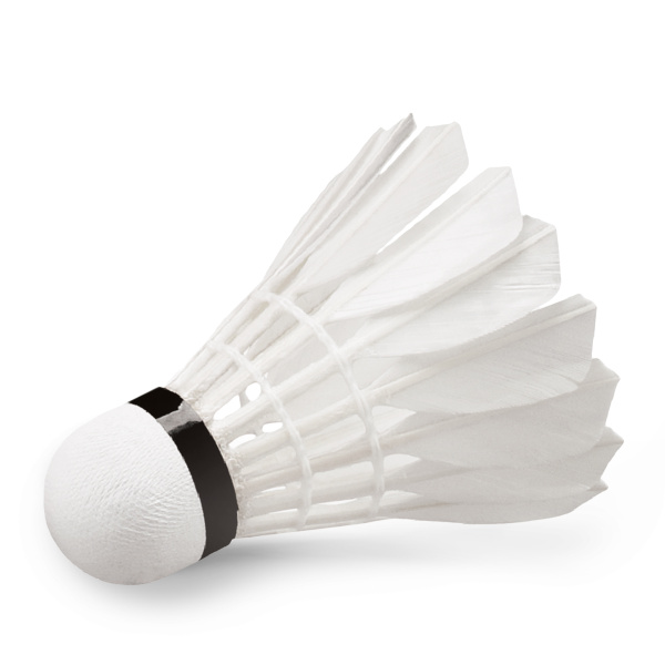 Μπαλάκια Badminton Feather Shuttlecock W-09 12 τμχ.-42078
