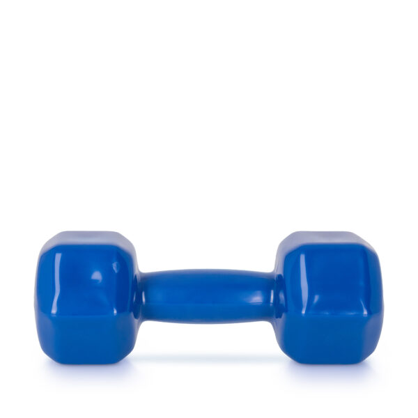 AMILA Vinyl Dumbbell 6Kg-44120
