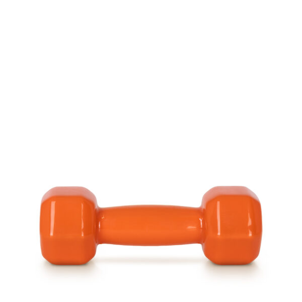 AMILA Vinyl Dumbbell 2Kg-44492