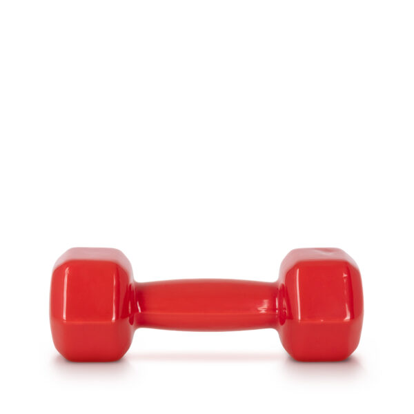 AMILA Vinyl Dumbbell 3Kg-44493