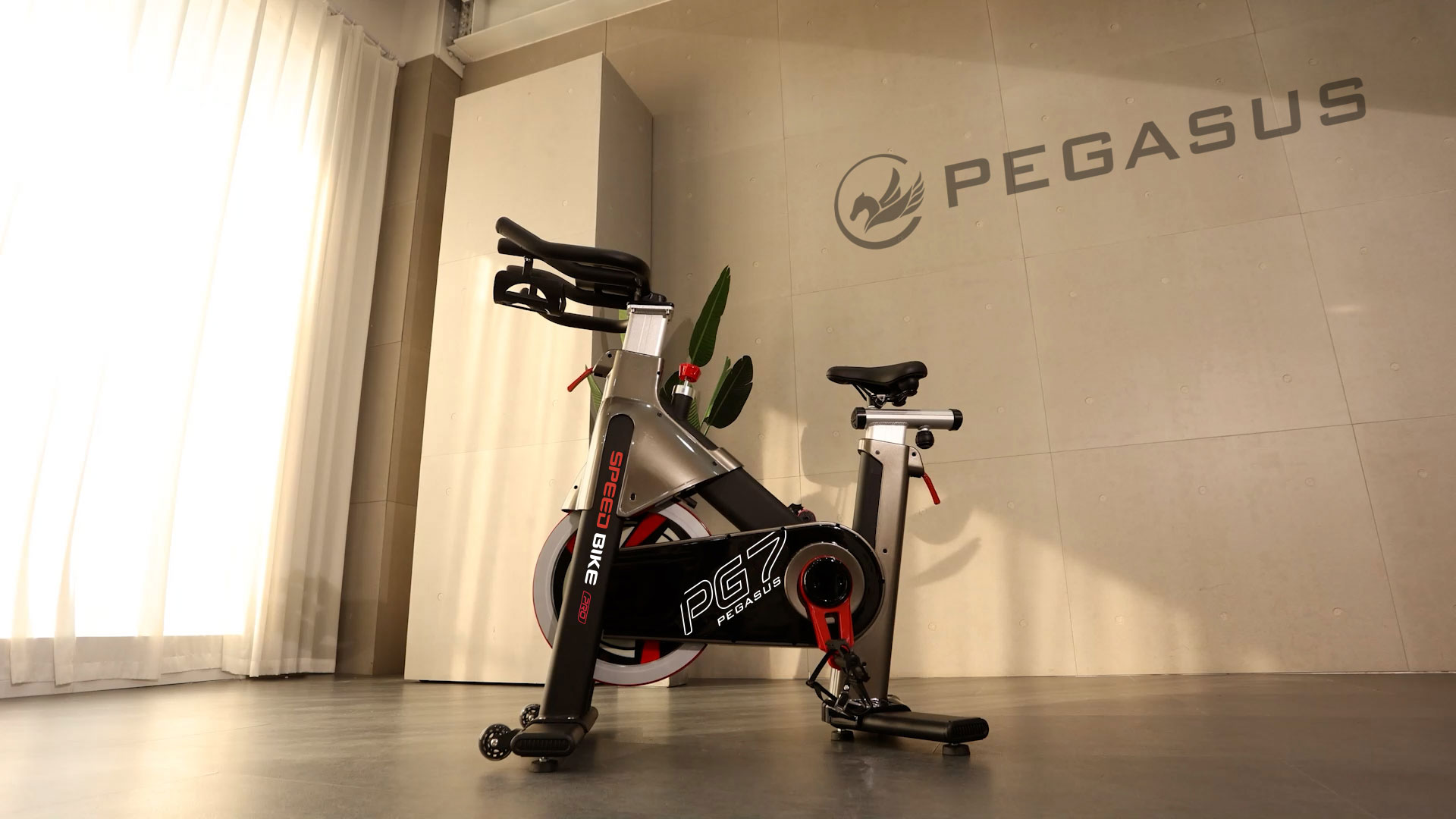 Ποδήλατο Pegasus Spin Bike PG7